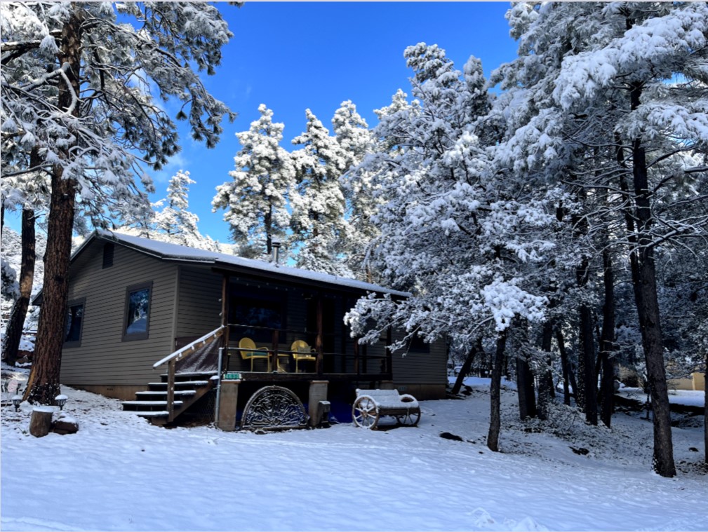 Pine Arizona Cabin With Snow